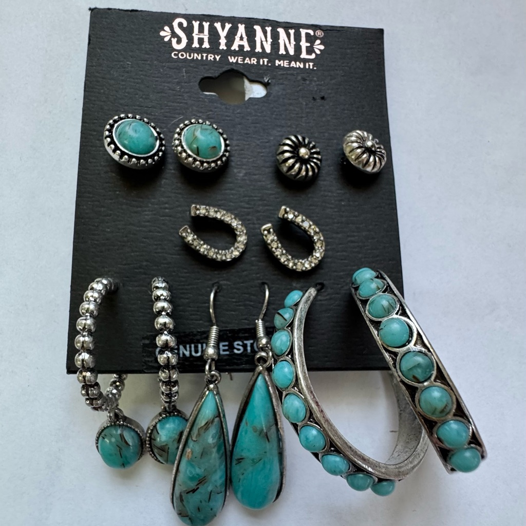 Shyanne Blue And Silver Earrings Bohemian Elegance 21$